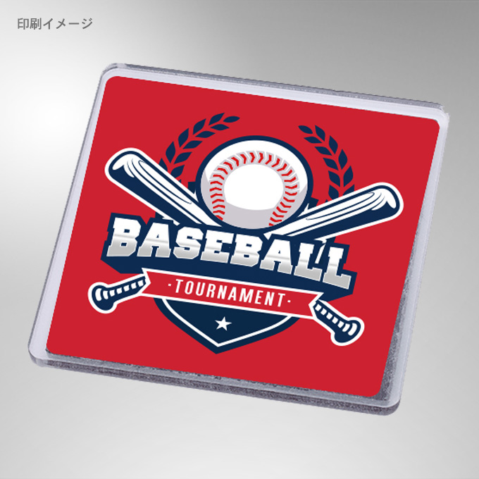 �A�N�����}�O�l�b�g�E�X�N�G�A