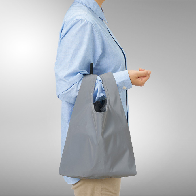 ���t���N�^�[�}���V�F�o�b�O�EM