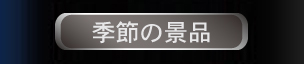 G߂̌ii