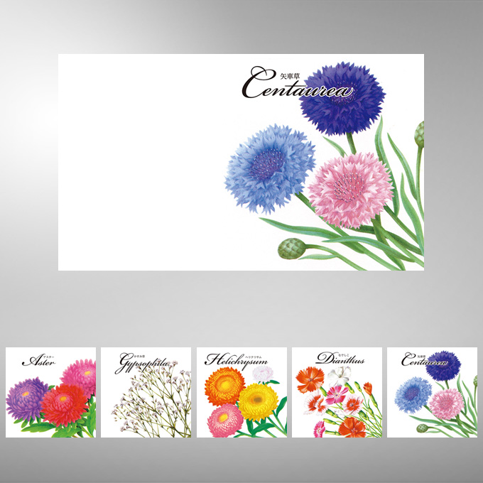 イラスト・花の種