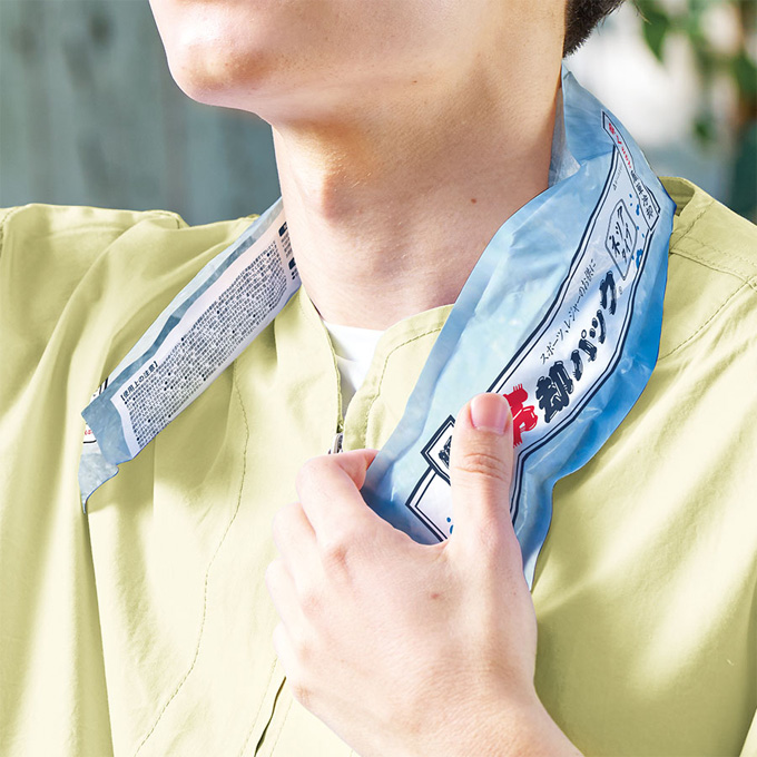 �u�ԗ�p�p�b�NIC�E�l�b�N�^�C�v