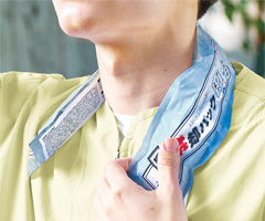 �u�ԗ�p�p�b�NIC�E�l�b�N�^�C�v