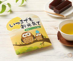 いつまでもお元気で煎茶2個入
